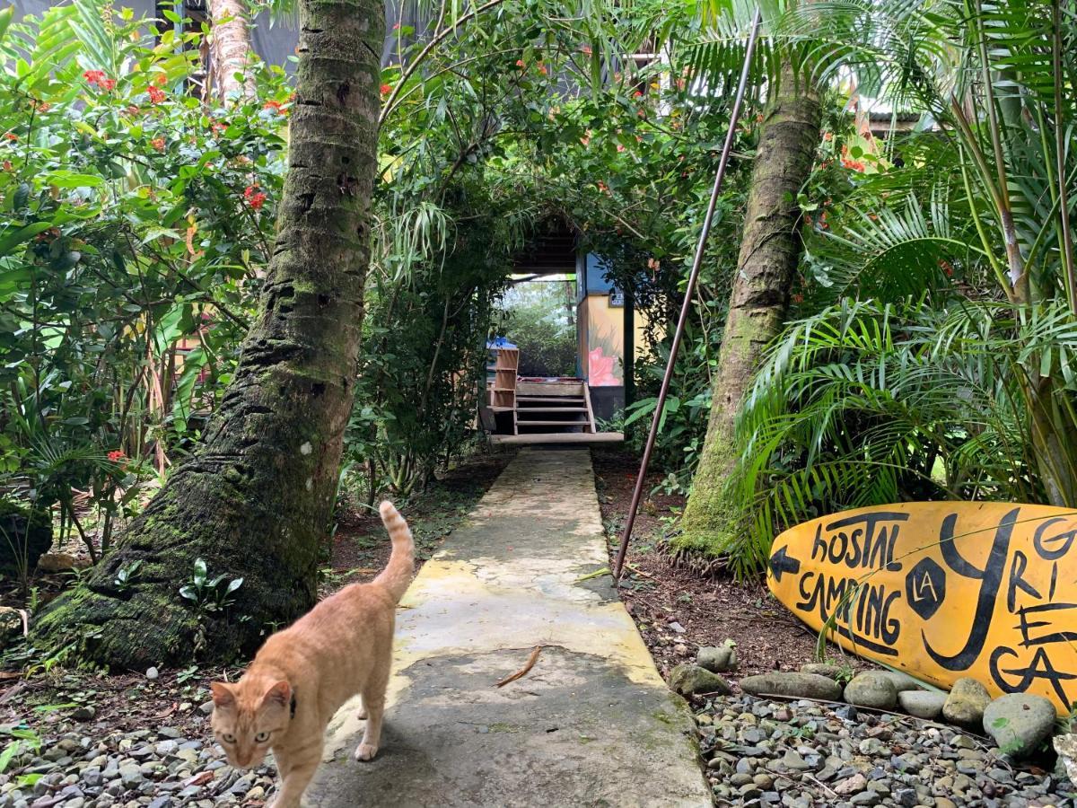 Surf Camp Hotell Bocas del Toro Eksteriør bilde