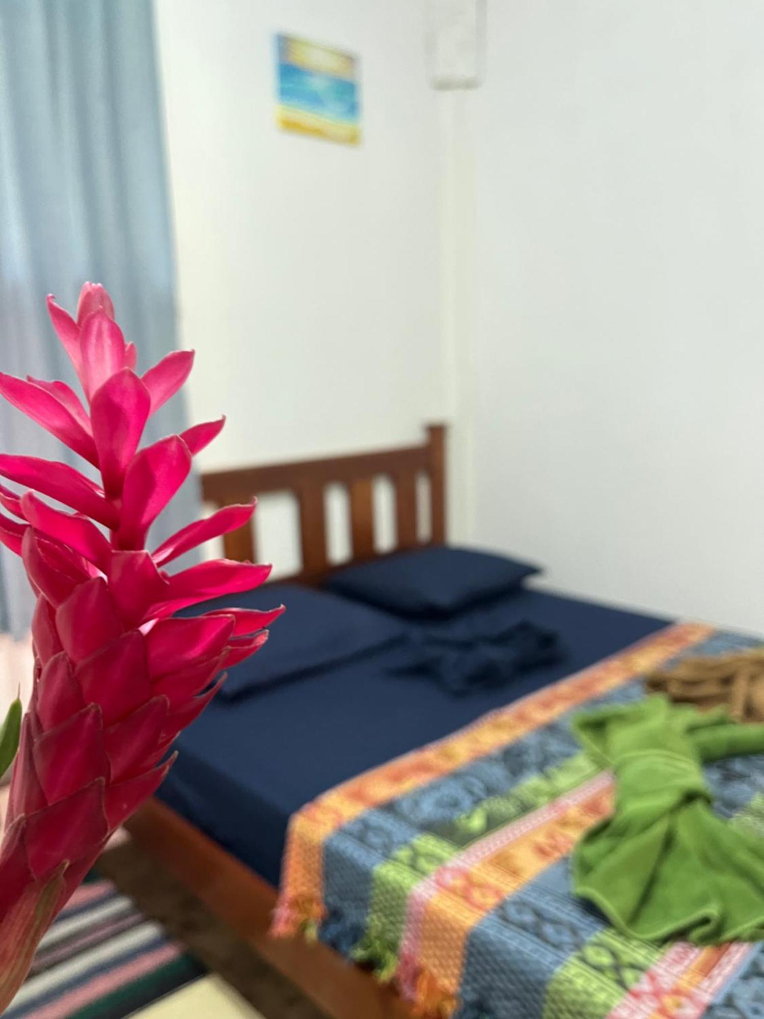 Surf Camp Hotell Bocas del Toro Eksteriør bilde
