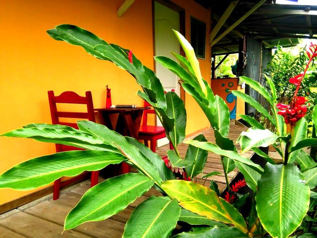 Surf Camp Hotell Bocas del Toro Eksteriør bilde
