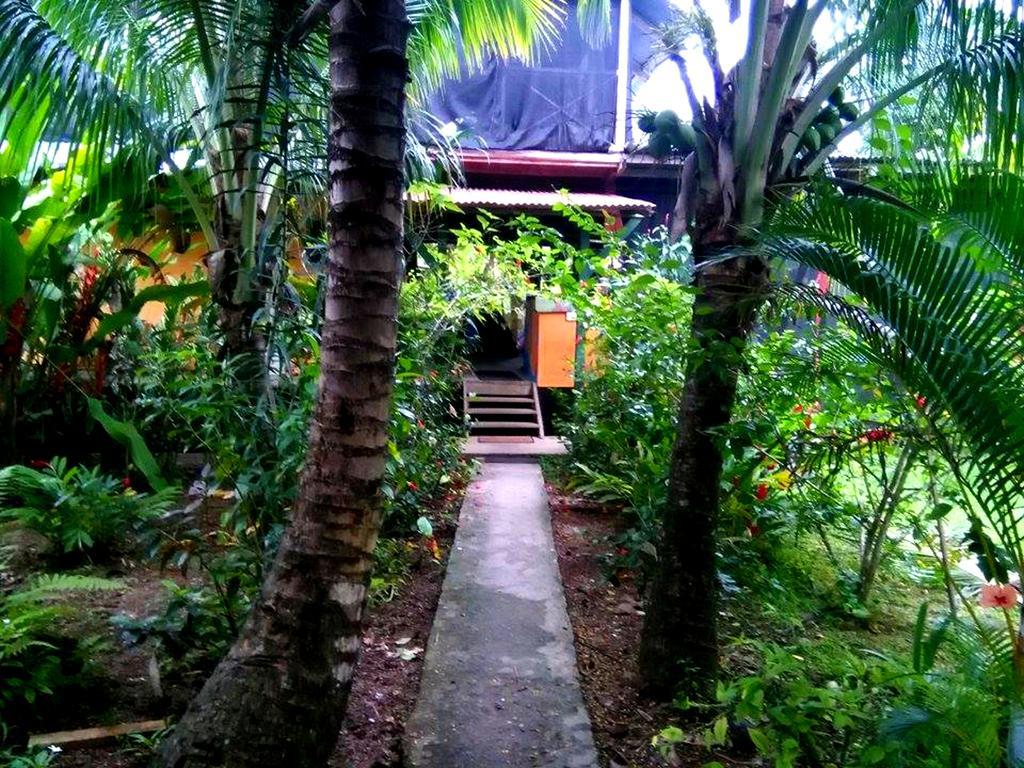 Surf Camp Hotell Bocas del Toro Eksteriør bilde
